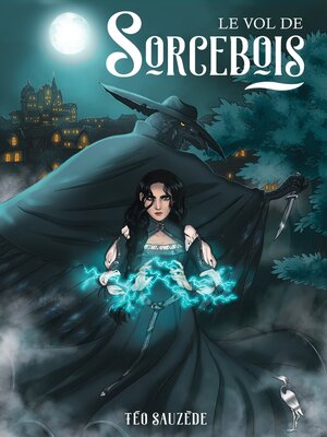 cover image of Le vol de Sorcebois